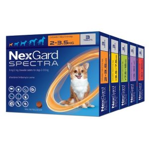 Nexgard Spectra (Single Dose 30.1 - 60 kg)